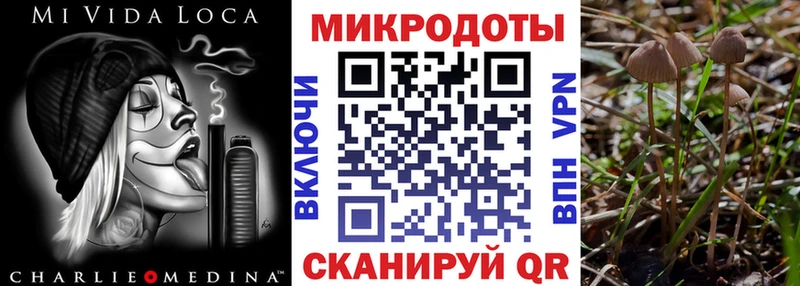 Псилоцибиновые грибы Psilocybe  Павловский Посад 