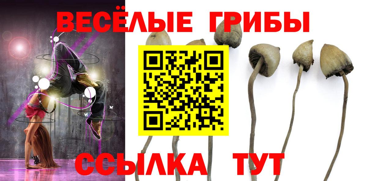 Павловский Посад  Галлюциногенные грибы ЛСД  Вход с VPN 