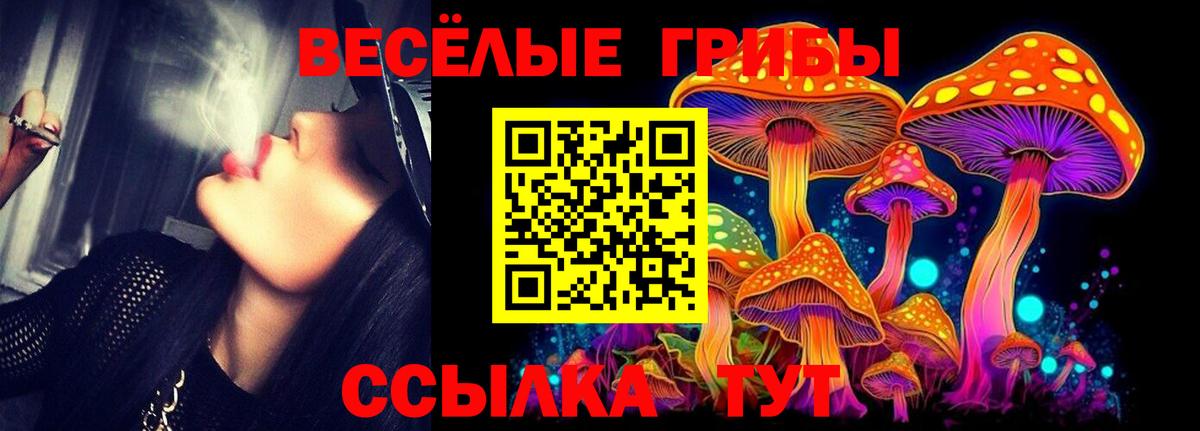 Псилоцибиновые грибы мицелий Павловский Посад