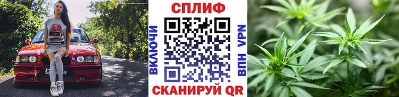 Канабис индика Павловский Посад